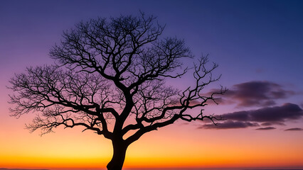 Bare tree silhouette against vibrant sunset sky