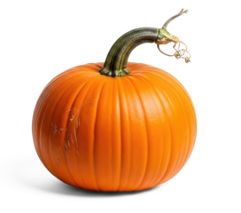A single orange pumpkin with a green stem and a small green leaf on a png transparent