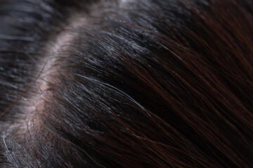 髪　女性　クローズアップ