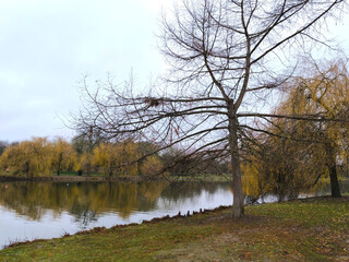 autumn trees at Daumesnil lake