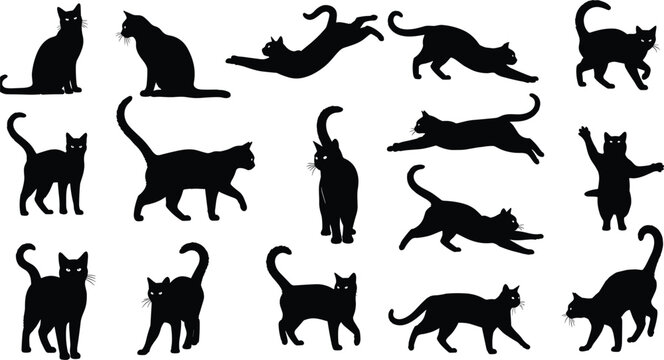 Black cat silhouette collection, feline poses, walking, sitting, jumping, stretching, playful cats, vector illustration, animal clipart, pet design, isolated