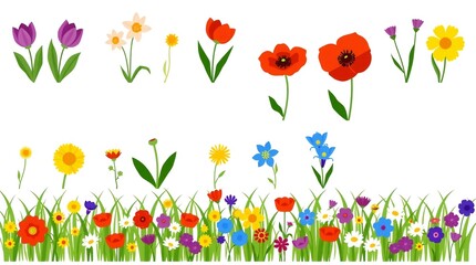 Colorful collection of spring and summer wildflowers and garden flowers