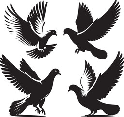 Birds icon silhouette vector with white background