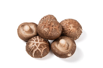 Shiitake mushrooms (Lentinus edodes) isolated on white background.
