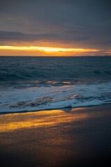 Fototapeta premium Golden Light