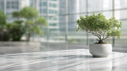 Minimalist White Marble Table with Potted Bonsai Plant in a Bright Modern Office Background