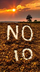 A landscape featuring a field of brown material with white letters spelling "NO IO". A sunset fills the sky