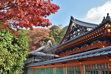 秋の毘沙門堂門跡　本殿とモミジ(京都市山科区)