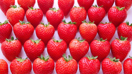 栃木県産いちご　とちあいか