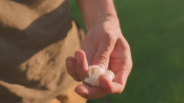 Stress Response Involving Tissue Gripping, Person Displaying Compulsive Tissue Squeezing Under Sunlight, An Individual Exhibits Nervous Habit Of Squeezing Tissue In Sunlit Park Setting