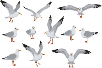 Obraz premium Cartoon seagull illustrations, flying birds, standing seagulls, walking poses, white feathers, orange beak, coastal wildlife, bird anatomy, cute drawing, educational, animal character