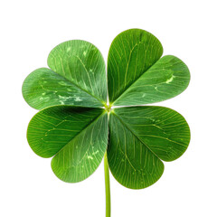A vibrant four-leaf clover detailed against a stark black background.