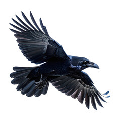 A stunning, detailed portrait of a large black raven captured in mid-flight against a solid black background.