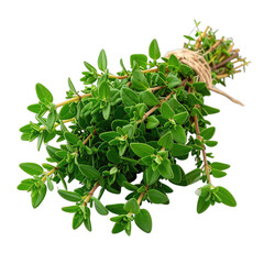 A vibrant bundle of fresh thyme sprigs tied with twine against a stark black background.