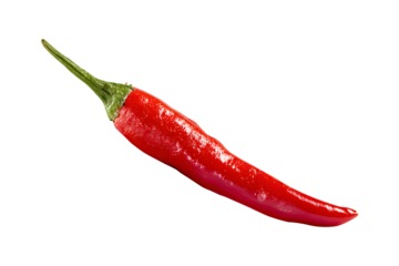 Vegetable hot pepper whole isolated on cut out PNG or transparent background. Fresh dark red chili peppers with glossy finish. Vivid color and smooth, shiny skin that highlights their spicy and bold.
