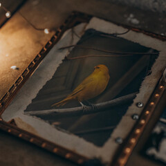 Nostalgic Tea Paper Texture with Bright Canary Bird and Tiny Ant Frame