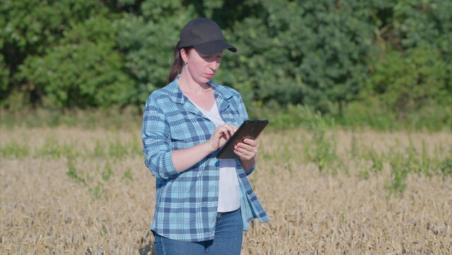 A woman is using a tablet while working in an agricultural field, surrounded by crops - Powered by Adobe