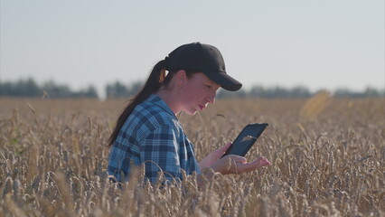 A young woman uses advanced tech in a vast wheat field, exploring new growth opportunities