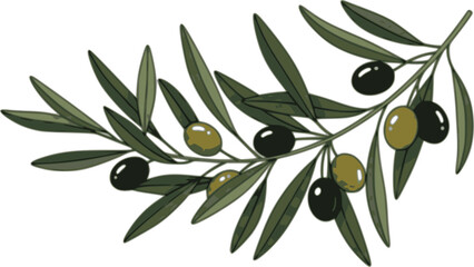 Olive trees with branches and leaves for design of packaging, label, logotype or banner. Natural organic stylized olive icon, premium quality sign. Vector illustration