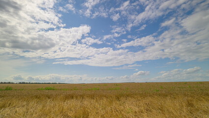 A Serene and Picturesque Countryside Landscape Under an Expansive and Bright Blue Sky