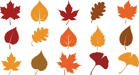 Vector set of decorative autumn leaf silhouettes.