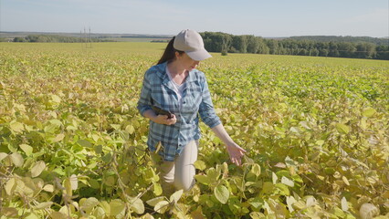 A woman in a green soybeans field assesses crops with a device, gathering key data to enhance growth
