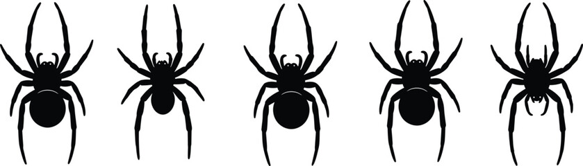 Spider silhouettes vector illustration set, black arachnid insect collection, creepy halloween animal icons, isolated scary design elements © MdMeherul