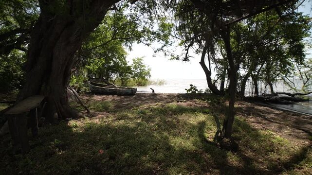 A wooden rowboat sits on Ometepe Island in Nicaragua, surrounded by jungle and near the waters edge in Central America.