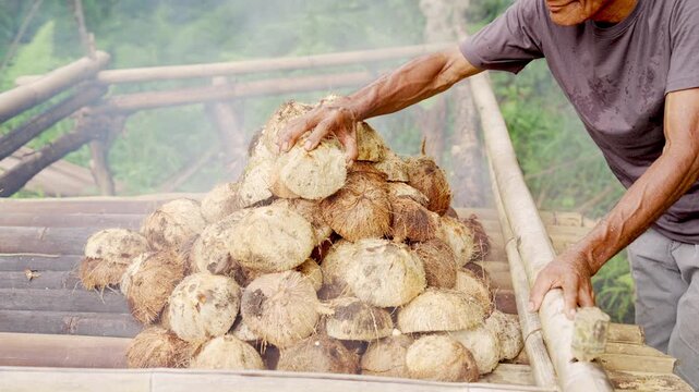 An indonesian man farmer smoke drying half cut coconuts to make copra on traditional bamboo rack in maumere village, flores island, rural indonesia, asia