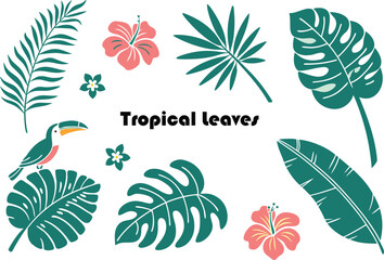 Obraz premium Tropical leaves and flowers with toucan on white background hibiscus