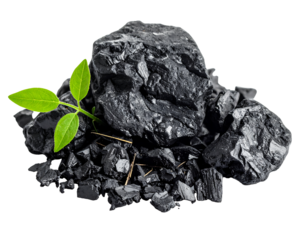 A small green plant growing out of a pile of black coal, symbolizing clean energy and environmental hope.