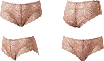 Four pairs of elegant lace panties in a soft nude color showcasing intricate floral patterns and delicate trim.