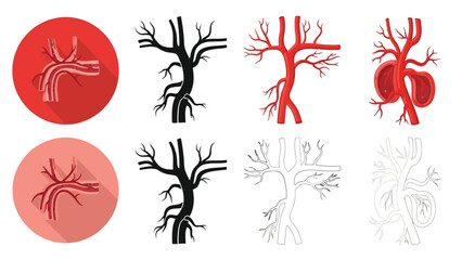 Detailed illustrations of human arterial and venous branching structures displayed in variations © Mstsalma