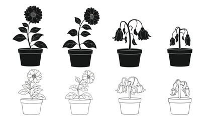 Stages of sunflower growth and decay shown in potted plants