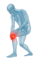 Human skeleton bending forward holding knee showing joint pain medical x ray anatomy illustration isolated on white background
