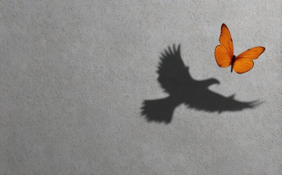 A butterfly with the shadow of an eagle flying in flight, casting a shadow on a grey background.