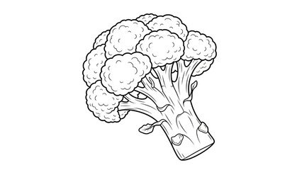 A creative sketch of a human brain designed as a green broccoli plant with leaves, symbolizing the connection between nature, health, and the anatomy of the mind in a vector art illustration