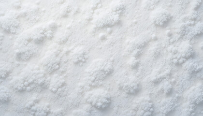 Obraz premium Top View Texture of Fresh Fluffy White Snow Surface During a Winter Blizzard