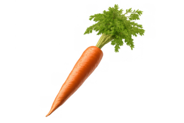 Orange carrot with green top, providing a fresh, raw, and healthy root vegetable for cooking and diet, transparent background