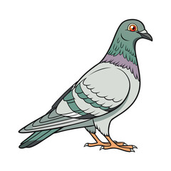 Pigeon Cartoon Illustration Isolated on White Background, Cute Urban Bird Character