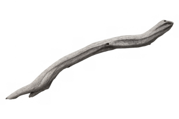 Weathered driftwood piece on transparent background, showing natural texture and organic form, an isolated object from nature