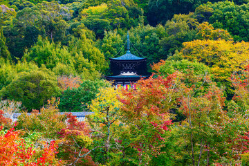 京都、永観堂の秋