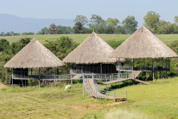 Agriculture, Animal, Architecture, Asia, Breeder