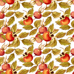 Seamless pattern of rose hips, berries, and green leaves isolated on a white background. Hand-drawn botanical rose hip branch. Clipart for a herbal tea label.