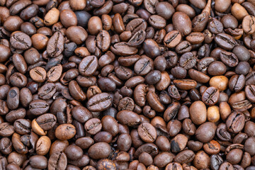 Closeup roasted coffee beans, glossy texture revealing rich oils and varied brown tones, artisan roast profile ideal for specialty blends and packaging photography