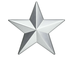 A polished, five-pointed star, shining with metallic sheen