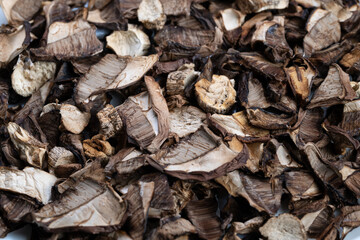 Natureharvested dried fungi collection, Rustic assortment of naturally varied dried mushrooms,...