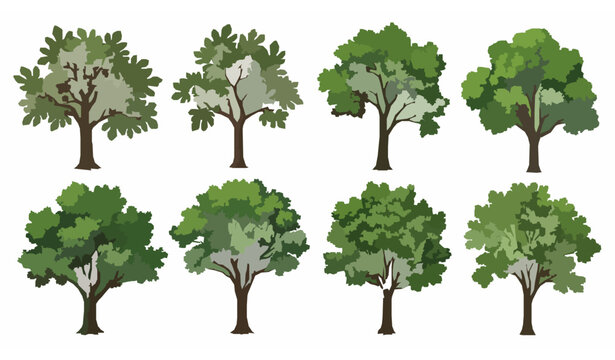 Green illustrated tree collection with fig trees and fresh foliage isolated on white background