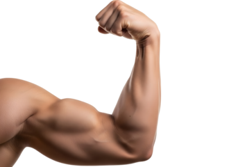 Strong muscular arm flexing bicep isolated on transparent background