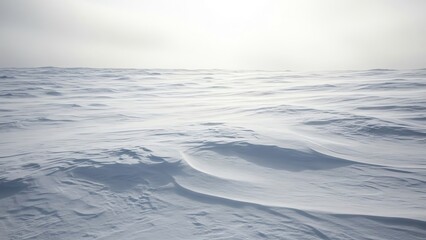 Snowy landscape with wind-swept drifts